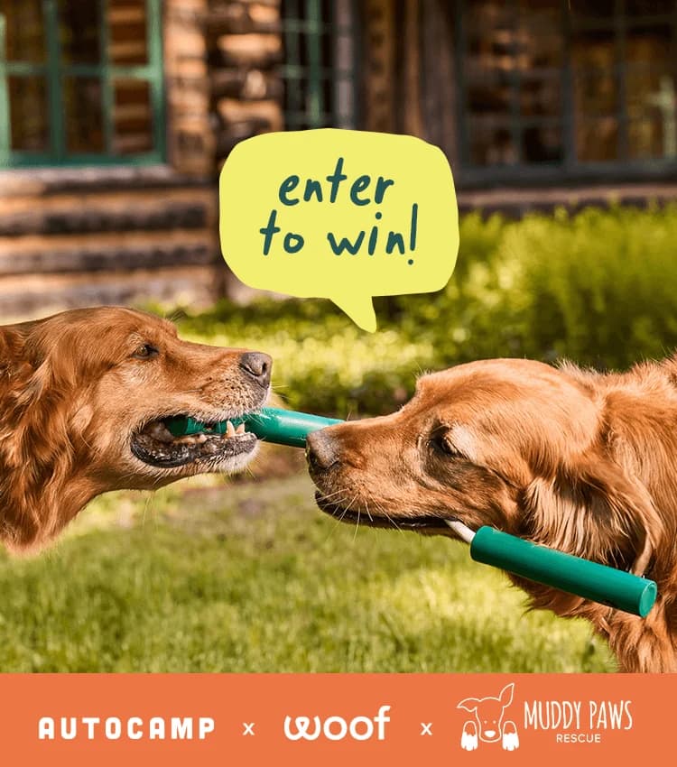 Summer Adventure Sweepstakes giveaway prize